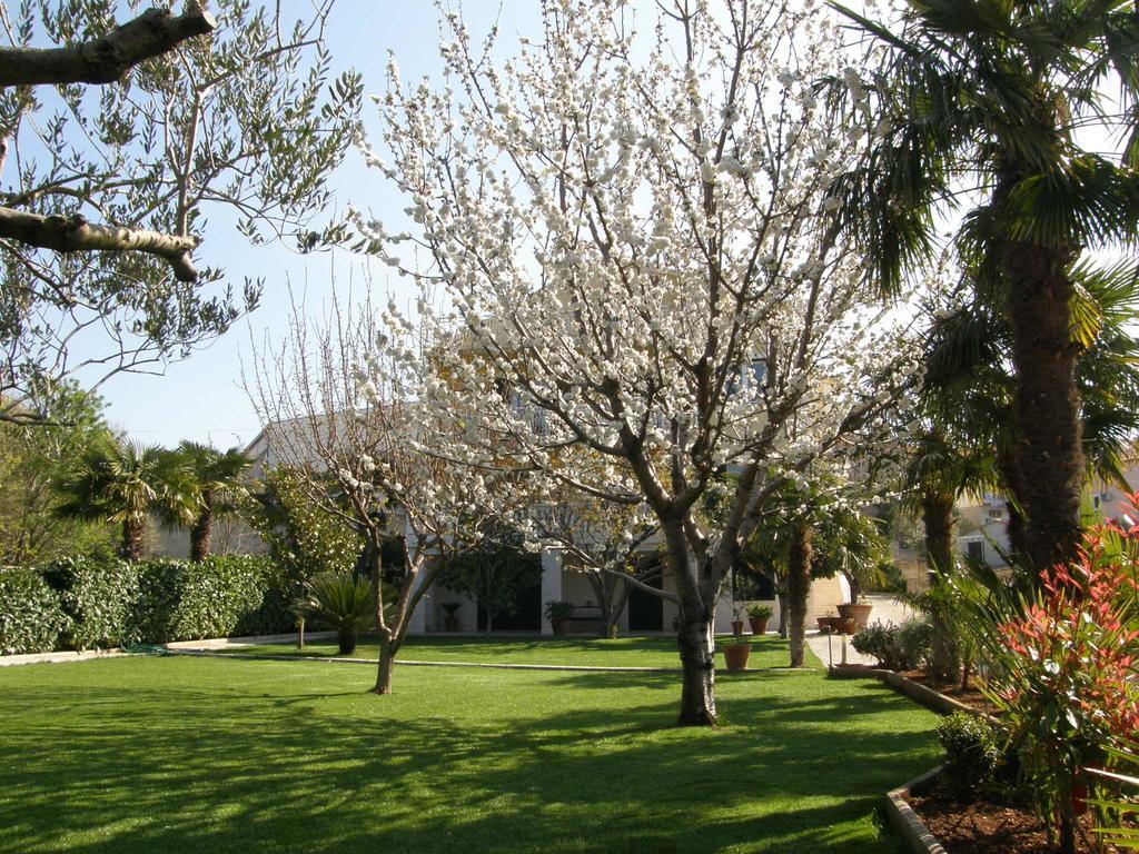 וודיצה Villa Slavica 1 מראה חיצוני תמונה