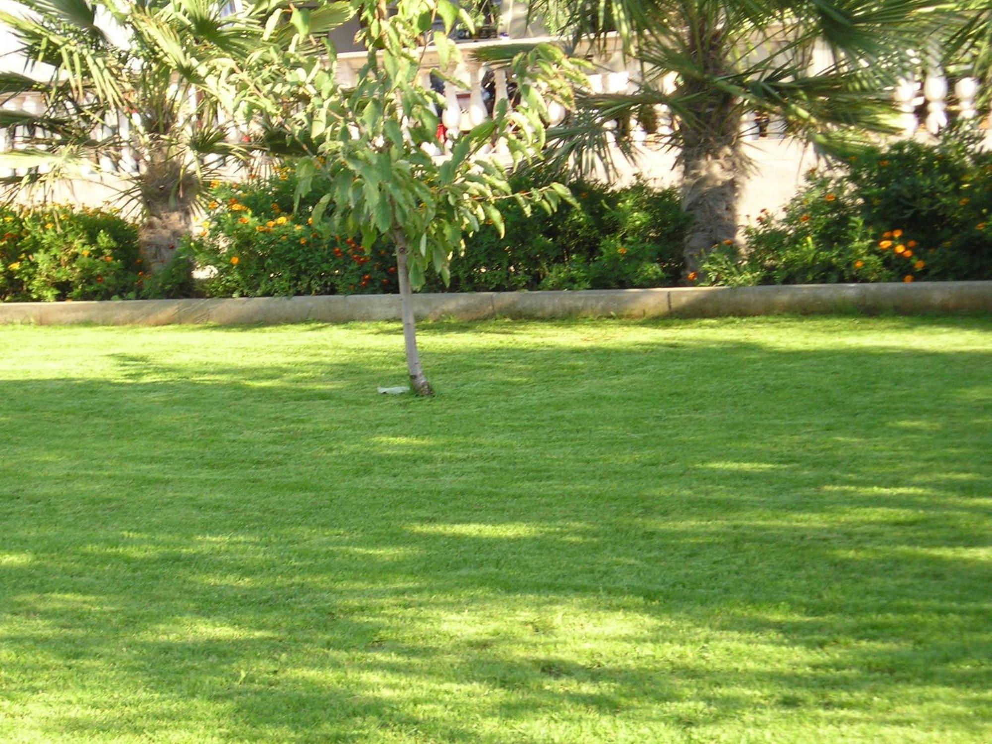 וודיצה Villa Slavica 1 מראה חיצוני תמונה
