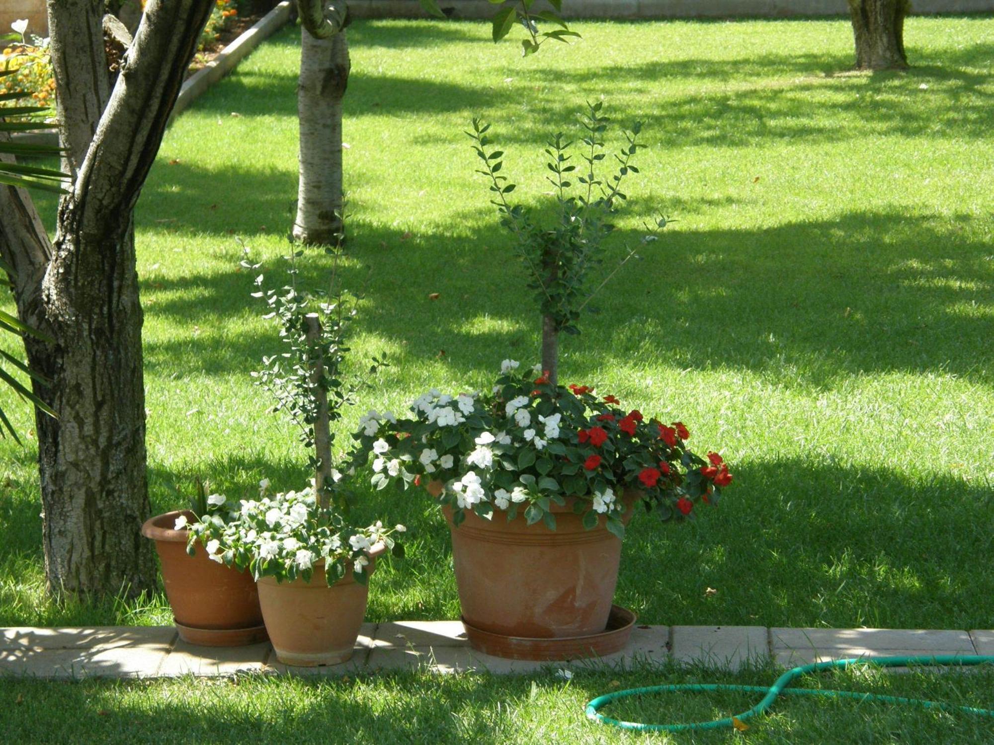 וודיצה Villa Slavica 1 מראה חיצוני תמונה